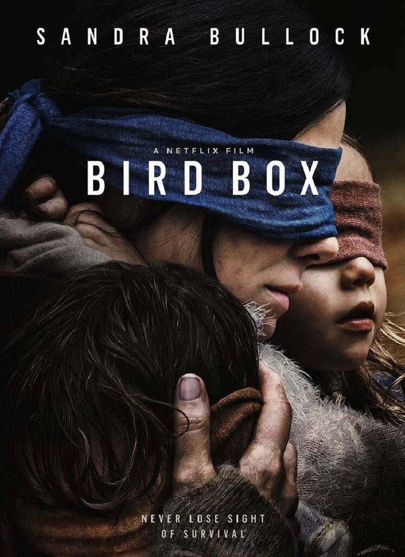 Descargar Película BIRD BOX (A CIEGAS) [2018] MP4 HD720p Latino