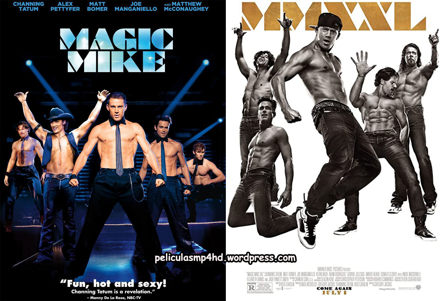 Descargar Película SAGA MAGIC MIKE MP4 HD720p Latino