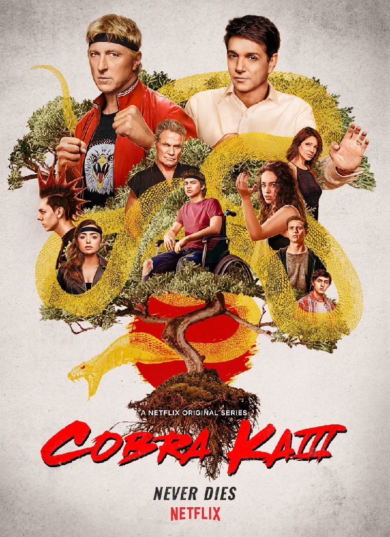Descargar Serie COBRA KAI Temporada 3 [2021] MP4 HD720p Latino