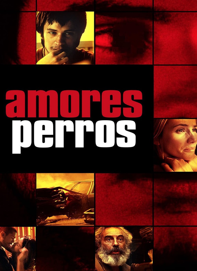 Descargar Película AMORES PERROS [2000] MP4 HD720p Latino