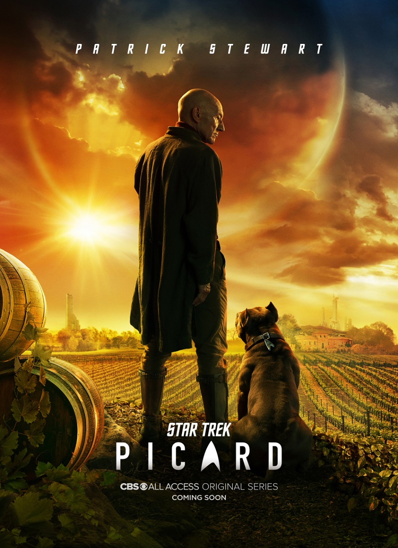 Descargar Serie STAR TREK: PICARD Temporada 1 [2020] MP4 HD720p Latino