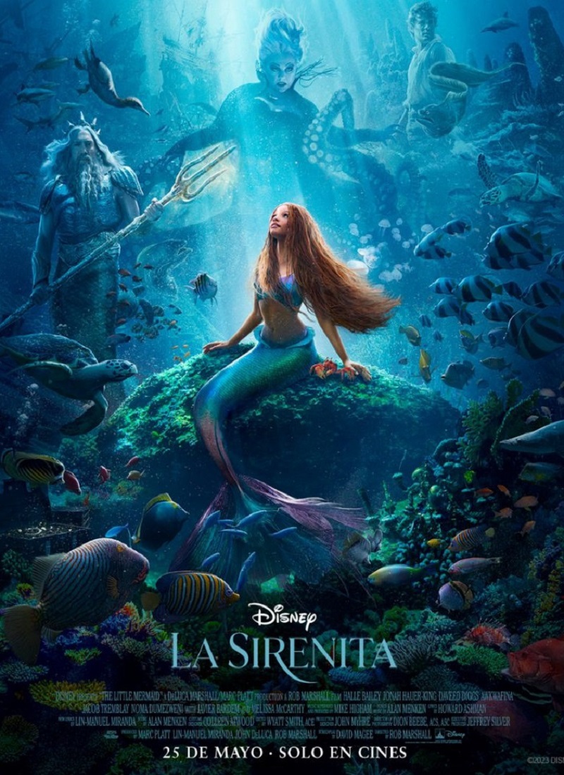 Descargar Película LA SIRENITA [2023] (The Little Mermaid) MP4 HD720p Latino